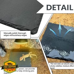 Tfwadmx Reptile Basking Platform 6″ Slate Feeding Dish
