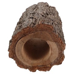 Hollow Tree Trunk Decor Reptile Shelter Lizard Hideaway Cave Hideout