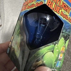 Zoo Med Daylight Blue Reptile Bulb 60 Watt