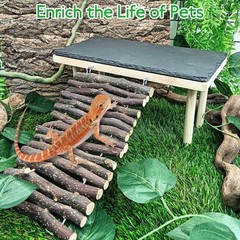 BNOSDM Bearded Dragon Basking Rock Platform with Climbing Ramp Reptiles Hideo…