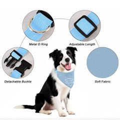 Blue My Parents Are Getting Married Dog Bandana Adjustable Pet Wedding Collar