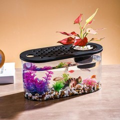 Small Turtle Tank Kit, Reptile Aquarium with Basking Platform, Decor Stones &…
