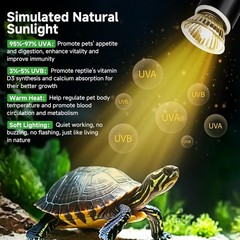Reptile Heat Lamp 2-Pack with Cycle Timer & 360° Rotation – Adjustable UVA UV…
