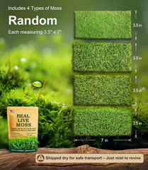 Live Moss 4-Pack (Each 3.5″X7″) – Real Mixed Moss for Terrariums, Reptile Habita