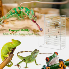 Reptile Bearded Dragon Feeder Wall-Mounted Insect Feeder for Chameleon Lizard