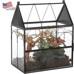 Glass Enclosure with Vent Holes for Insect Jumping Spiders 7.5″ X 4.9″ X 9″