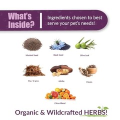 AMBER NATURALZ Reptaid XL Herbal Supplement for Large Reptiles Assorted Sizes