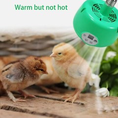 Chicken Farm Heat Lamp with Remote Control Heater Fan for Poultry and Reptiles