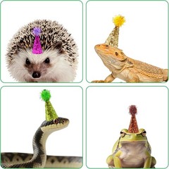 10 Pcs Mini Party Hats for Hamsters Lizards 1 Inch Glitter Cone 0.9*1.9 inch