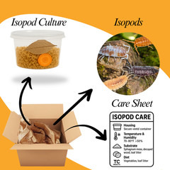 Combo Deal | 100+ Party Mix Isopods And 8oz Springtails | FREE SHIPPING!!