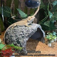 Tfwadmx Reptile Hideout Extra Large-Green