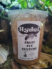 Golden & Hydei Fruit Fly Cultures 4 Pack+ 4 Pack Total of 8 CULTURES