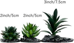 Reptile Artificial Plants Succulent Terrarium Decor Desert Rainforest Plant