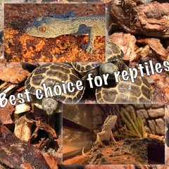Red Basking Bulb for Reptiles, 2 Pack 100W Upgraded Infrared Basking Spot, Re…