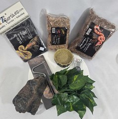 NEW XYZ Reptiles Starter Kit Bundle 10 Gal Heater Hide Hook Bedding Thermometer