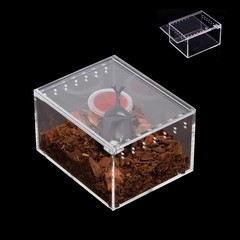 Insect Breeding Box & Reptile Feeding Enclosure – Waterproof for Tarantula, Scor