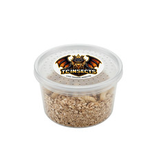 200 Live Wax Worms Feeder Insects for Reptiles Amphibians Birds & More