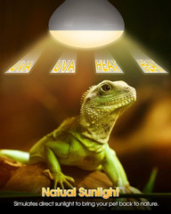 Reptile Heat Lamp Bulbs -100W UVA Natural Daylight Heating Lamp Basking Bulb for