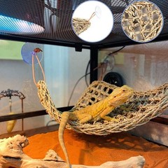 Reptile Plants for Bearded Dragon Tank Accessories, Terrarium Plant Artificia…