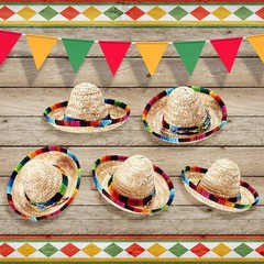 2 Pack Bearded Dragon Sombrero Hats – Lizard Cinco De Mayo Small, 2