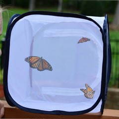 Foldable Insect Butterfly Habitat Mesh Cage Housing Enclosure Insect Net