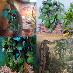 BNOSDM Reptile Climbing Branch,Crested Gecko Climb Corner Branch with Suction…