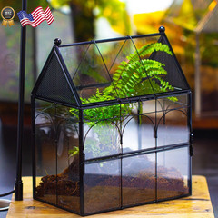 Glass Enclosure w/ Vent Holes for Insect Jumping Spiders Snails – 7.5″ xx 4.9″