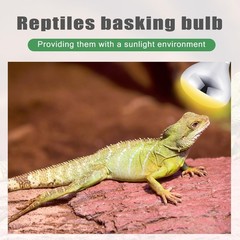 4 Pack 250W R40 Heat Lamp Bulbs – Incandescent Light for Reptiles, Chicks, Puppi