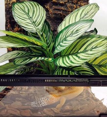 Reptile Terrarium Decor,Amphibian Habitat Decor,Artificial Plants for Crested…