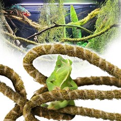 6.5FT Reptile Vine & Moss Set for Climbing Bendable Branch, Natural Moss Rope…