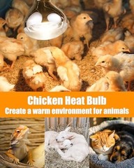 250W Infrared Heat Lamp Bulbs, 8000 Hour Life, E26 Base, 6 Pack for Pets & Food