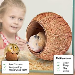 Raw Coconut Shell House for Gecko Snake Ball Python Reptile Hide