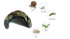 Reptile Habitat, Turtle Hideout,Water Tank Decoration for Fish, Reptiles, Amp…