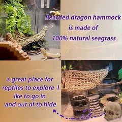 Bearded Dragon Skull Hide Decor,Reptile Natural Seagrass Hammock Lizard Loung…
