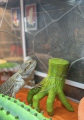 Addam’s Family  “Thing” hand Collection Or Reptile Tank Decor Glow In The dark