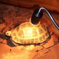Reptile Lamp 25/50/75W UVA+UVB 3.0 Pet Heat Bulb Lamp Turtle Basking Light Bulbs