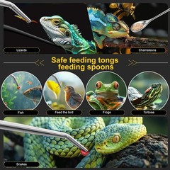 Versatile 2pcs Reptile Feeding Tongs & Spoon – Safe Stainless Steel Tools Set