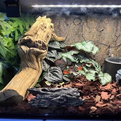 Reptile Plants for Terrarium,Amphibian Habitat Decor,Artificial Plants for Ge…