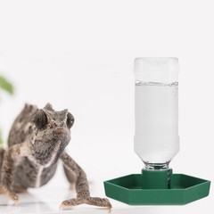 2Pcs Durable Plastic Water Dish for Reptiles Small Corner Bowl Green Easy Wash