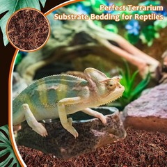 Riare 2 Pack Natural Coconut Fiber Substrate for Reptile- Premium 2