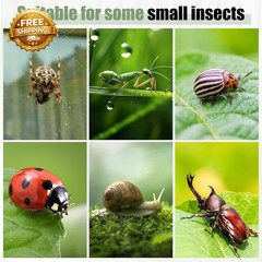 Pre-Assembled Jumping Spider Enclosure 3X3X6 Inch Acrylic Spider Cage Insect Ter