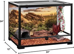 Naturalistic Desert Cactus Background for Aquariums – Lightweight & Reusable