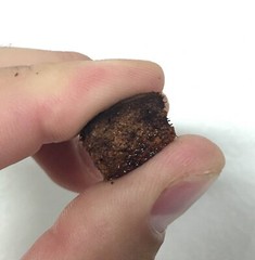 ReptiChip Reptile Bedding Coconut Chip Substrate for Terrariums