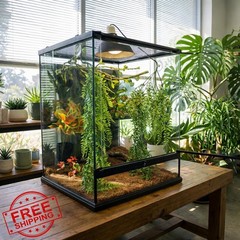 Reptile Plants Terrarium Group A