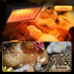 Heat Lamp Chickens 250W Chicken Heat Lamp Brooder Heater Chicks Hanging Light