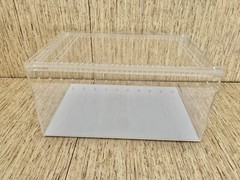 Acrylic Enclosure Terrarium Large 12”(L) x 8”(W) x 6”(H) Reptile, Snake, Spider
