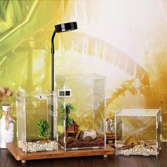 Clear Reptile Feeding Insect Box Acrylic Container Lizards Spider Breeding Case