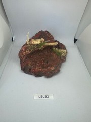 Magnetic Rock Ledges For Terrariums And Cages (Limited Edition) Small LAVA