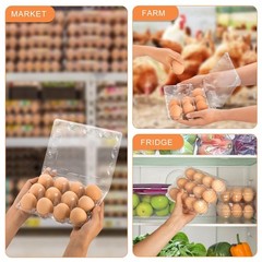 Egg Cartons 100 Packs, Plastic 3×4 Grids, Clear Egg Cartons Cheap Bulk for 12…