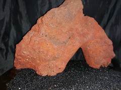 Reptile snake lizard fish aquarium Rock cave